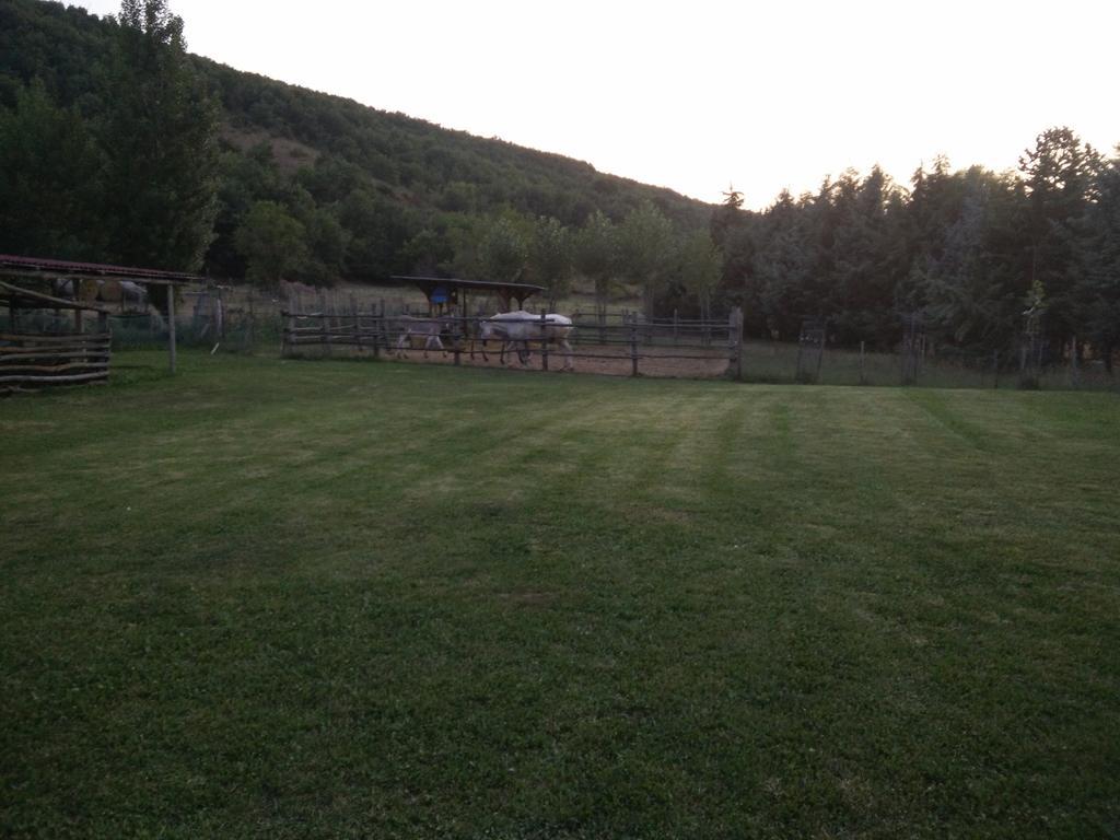 Il Giardinaccio Agriturismo Acomodação com café da manhã LʼAquila Quarto foto